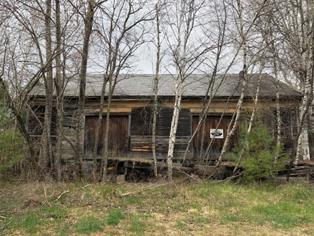 freight house with brush